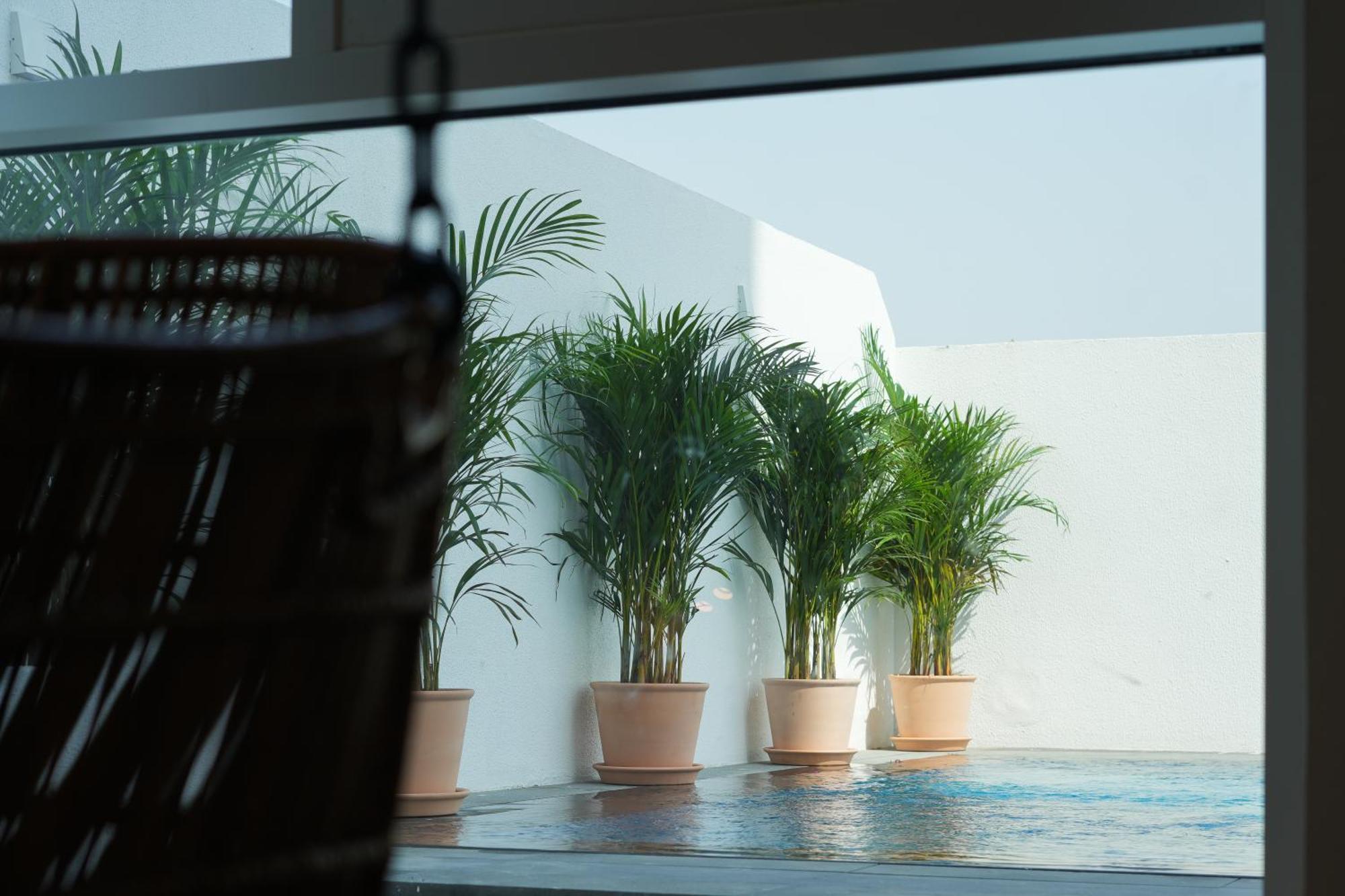 Shada Hotel Jumeirah Garden Dubaj Zewnętrze zdjęcie